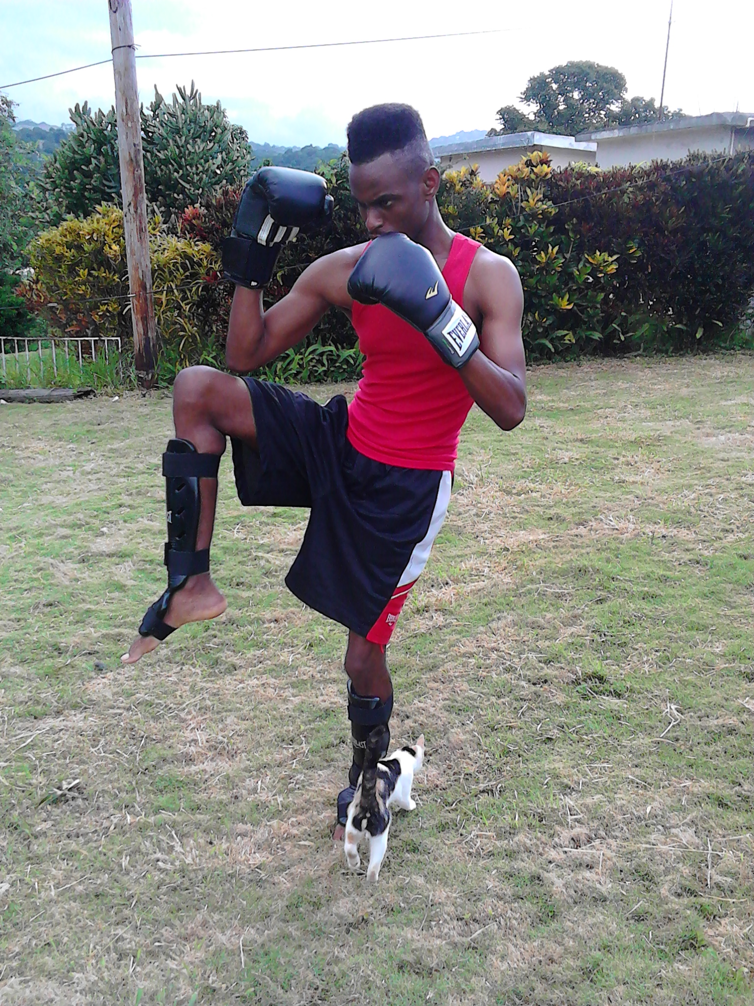 Free Website Template by Free-Template.co